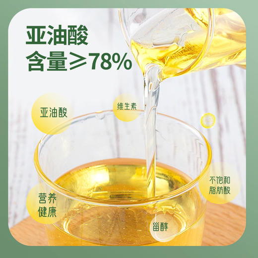 绿洲果实红花籽油  一级籽油 商品图3