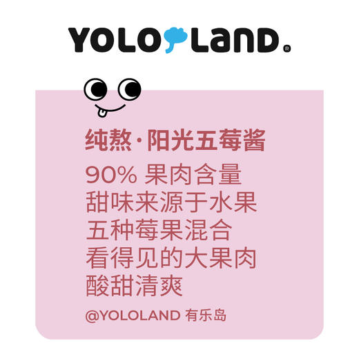 有乐岛 多口味果酱 椰枣可可榛子酱五莓酱蓝莓酱花生酱 早餐涂抹面包搭档 商品图11