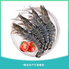 黑虎虾 约500g/份