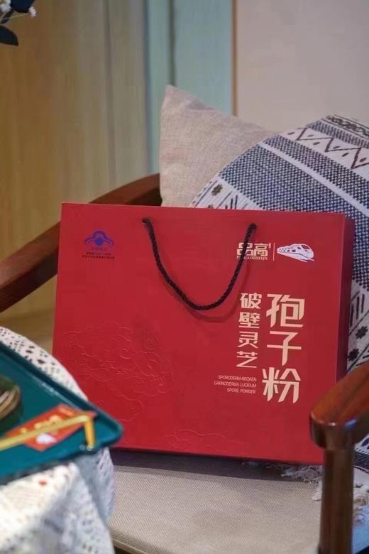 破壁灵芝孢子粉 商品图1