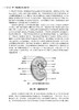 肾脏药理学 肾功能障碍的病理机制和研究方法 正常和异常状态下的肾脏药物代谢动力学 人民卫生出版社 9787117338080 商品缩略图2