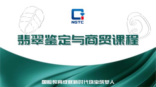 翡翠鉴定与商贸课程 商品图0
