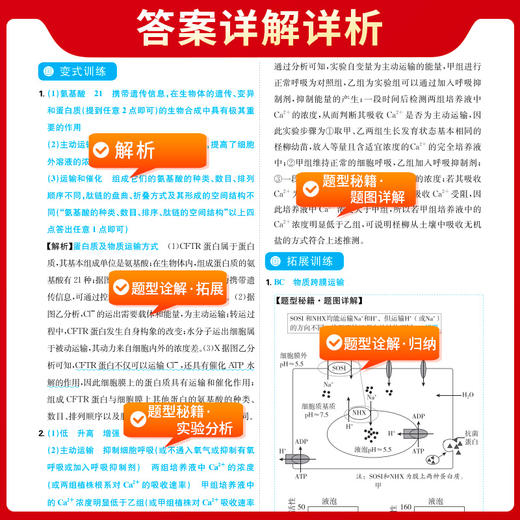 天利38套 2025高考题型 生物 细胞代谢题(教学考试研究院) 商品图4