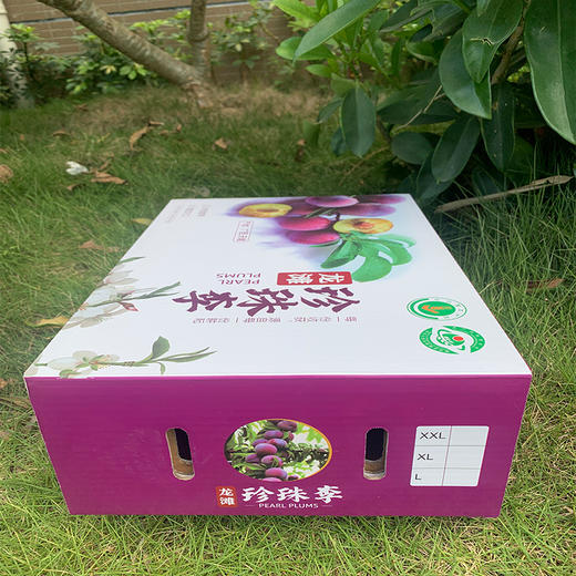 龙滩珍珠李 5斤装礼盒（两广外） 商品图10