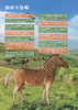 《失落的动物园：世界灭绝动物故事》（全2册） 商品缩略图10