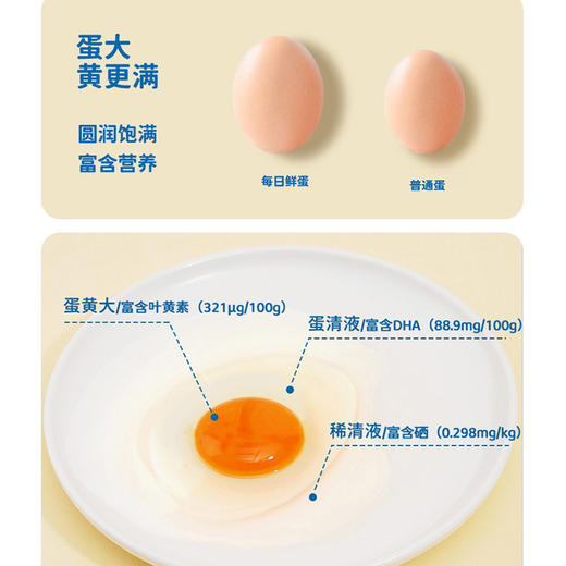 【顺丰到家】专注新鲜 可生食无菌鸡蛋 | 圆玲珑每日鲜蛋 AA级大蛋 优质高蛋白早餐 25枚/40枚整箱装 商品图7