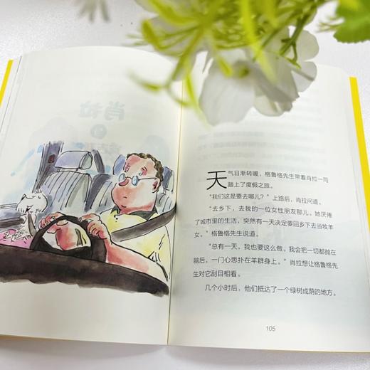 神秘岛 · 肖拉从不出错  (西) 贝尔纳多·阿恰卡  适合6~10岁儿童阅读 商品图3