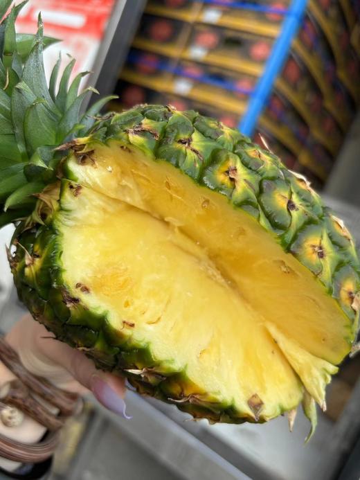 周四取货：【sw黑钻佳农凤梨】特惠:9.9元/个，一个2斤左右，凤梨香浓郁！甜而无酸！多汁无渣！不涩嘴！ 商品图1