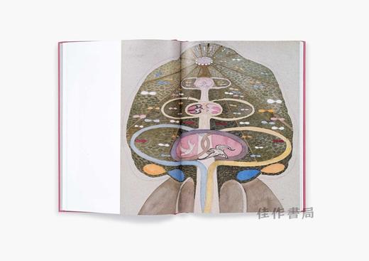 Hilma af Klint: Tree of Knowledge / 希尔玛·阿夫·克林特：知识之树 商品图1