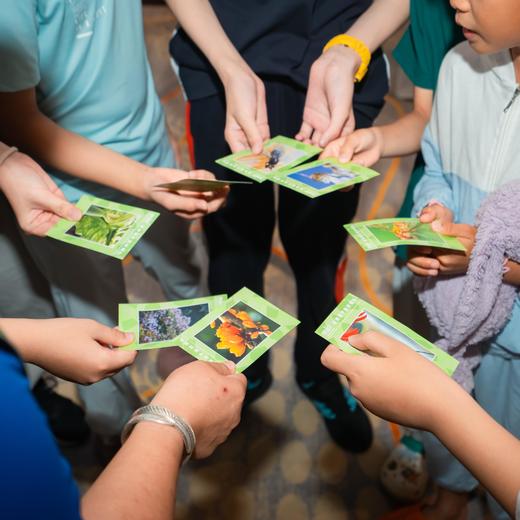 五一特期 | 西双版纳，丛林王国里的人与自然 5天4晚 商品图14