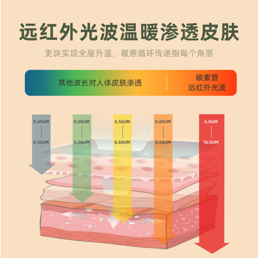 【碳纤维发热 2秒速热 2档控温】低噪鸟笼香薰取暖器 商品图8