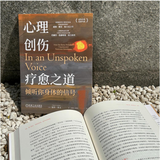 心理创伤疗愈之道：倾听你身体的信号   [美]彼得·莱文([美]彼得·莱文) 商品图2