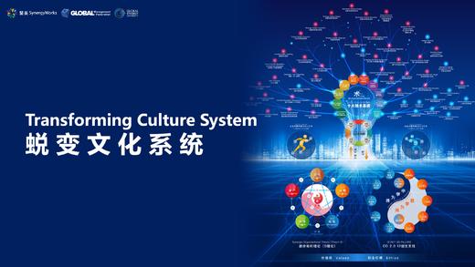 第四次集训线上课程：蜕变文化系统 商品图0