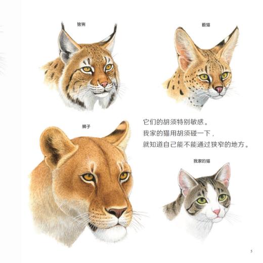 《科学之友经典图画书· 世界运转的奥秘》（共8册） 商品图13