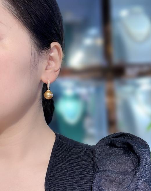 519002 南洋金珍珠耳环款 18k金钻石镶嵌，珠子正圆浓金强光极微瑕，色标级别 大小12.6mm 超值价💰6280 商品图5