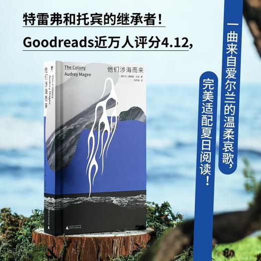 他们涉海而来 （爱尔兰）奥德丽·马吉 /著 【北贝】 商品图1