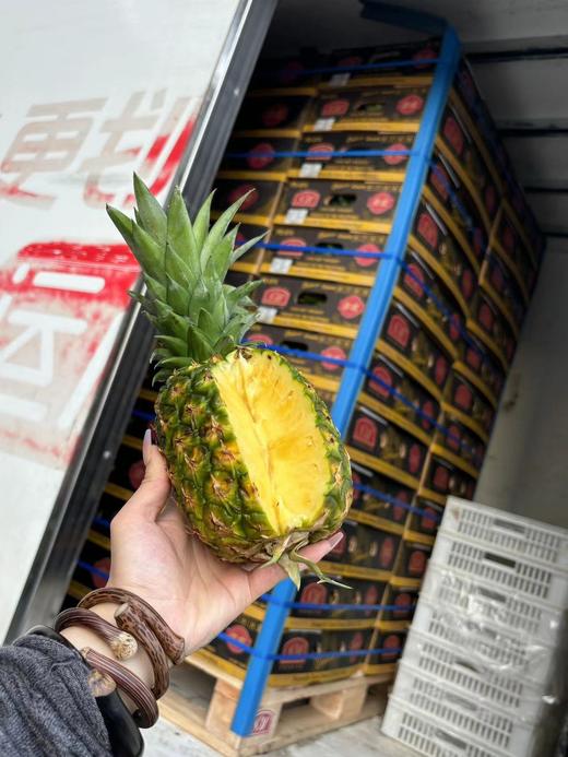 周四取货：【sw黑钻佳农凤梨】特惠:9.9元/个，一个2斤左右，凤梨香浓郁！甜而无酸！多汁无渣！不涩嘴！ 商品图2