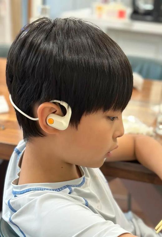 【3.7折】阿尔法蛋蓝牙耳机D1运动防水无线蓝牙持久续航挂耳不入耳男女健身 商品图0