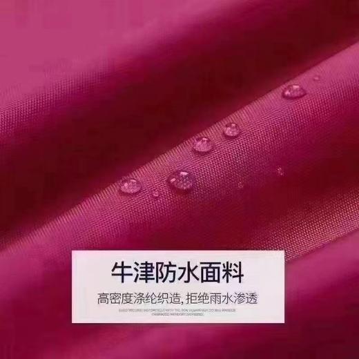 BQF双帽檐加厚雨衣颜色随机 商品图2