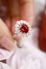 2.04ct 红宝石戒指 商品缩略图5