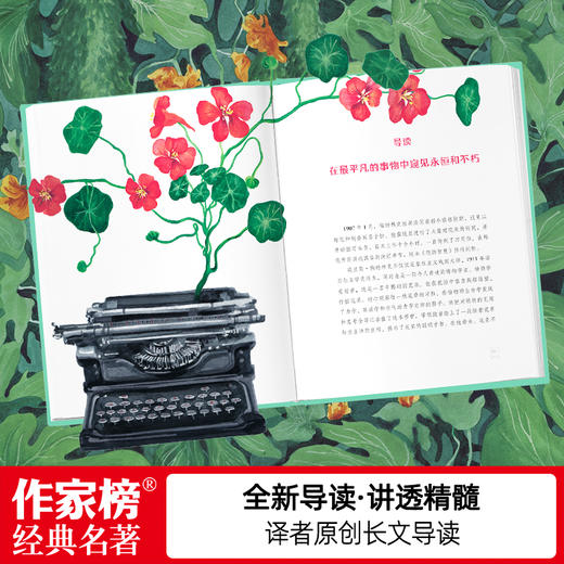 花的智慧 商品图3