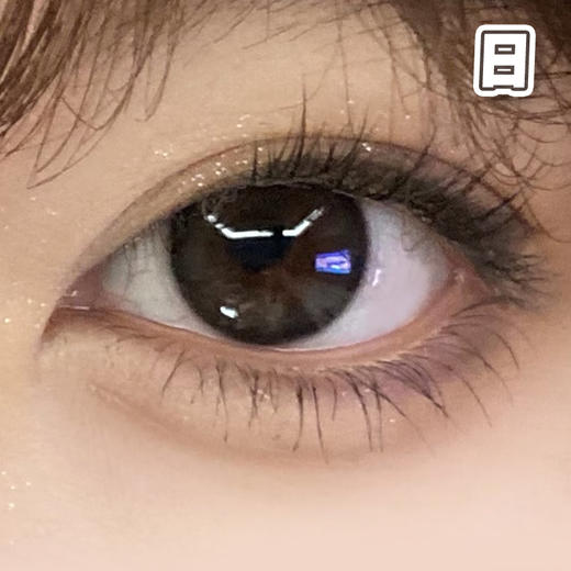 #半岛铁盒 黑棕色 14.2mm【10片装】日抛 商品图1