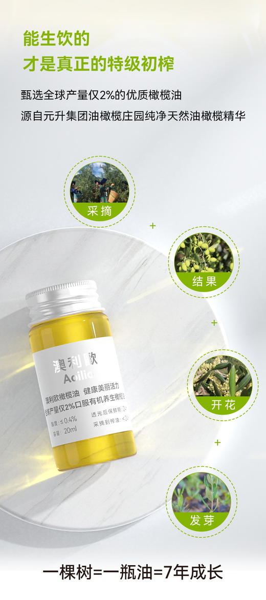 活动赠品 澳利欧特级初榨橄榄油20ml*1支+沃福百瑞 黑枸杞原浆宁夏黑枸杞汁 枸杞原液鲜果破壁43.6ml*2袋 商品图2