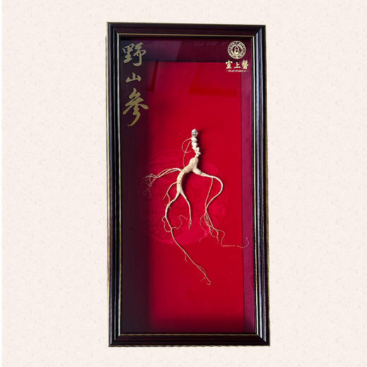 宣上医长白山野山参生晒参18+ 商品图3