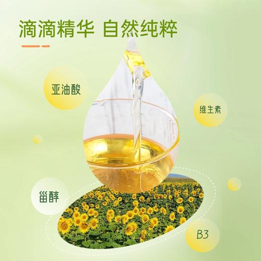绿洲果实一级葵花籽油5L 物理压榨 商品图4