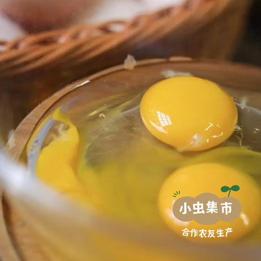 生态砂地红光头无盐鸡蛋面 300g/袋 I 来自甘肃河西走廊的旱砂地带，生产者：尹发华 &【公平贸易农人定价】 商品图9