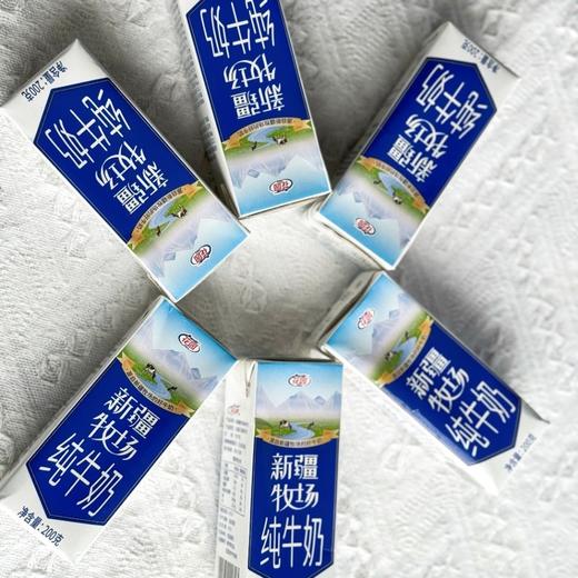 【限时福利  2.18-3.1生产日期 】花园新疆牧场纯牛奶   200g*10瓶*5箱     (成都发货) 商品图1