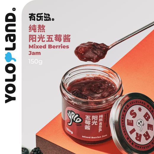 有乐岛 多口味果酱 椰枣可可榛子酱五莓酱蓝莓酱花生酱 早餐涂抹面包搭档 商品图3