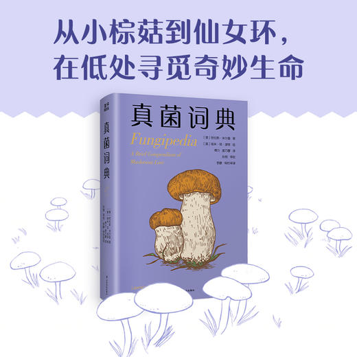 真菌词典（普林斯顿博物小词典系列，可以放进口袋的蘑菇迷你百科，我们一起在低处寻觅奇妙生命，真菌狂热分子的手心法宝）((美) 劳伦斯·米尔曼著 ; (美) 埃米·琼·波特绘 ) 商品图2
