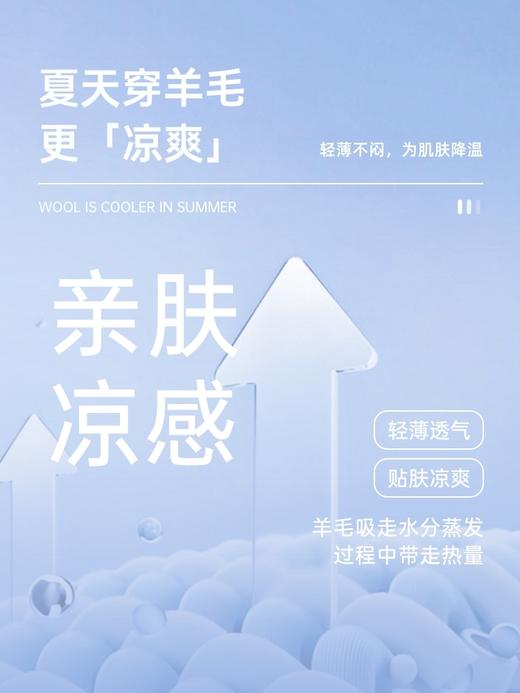 moolloo woolloo夏季上新100%可机洗美利奴羊毛男士呼吸T恤 商品图3