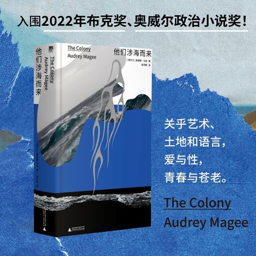 他们涉海而来 （爱尔兰）奥德丽·马吉 /著 【北贝】 商品图0