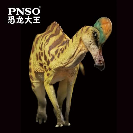PNSO盔龙卡洛琳恐龙大王成长陪伴模型28 商品图4