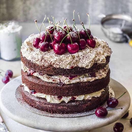 纯椰浆/搅打奶油/甜炼奶 椰子燕麦烘焙原料 制作甜品蛋糕面包 Nature's Charm纯素美食品 泰国进口 全植物 商品图4