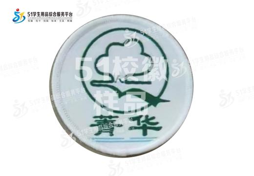 通版深圳市菁华中英文实验中学包边校徽标姓名贴章可缝烫现货发51 商品图0