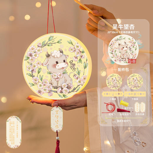 【中秋灯笼手工diy材料包】十二月令生肖龙年花灯 儿童幼儿园挂饰 卡通生肖图案  商品图6