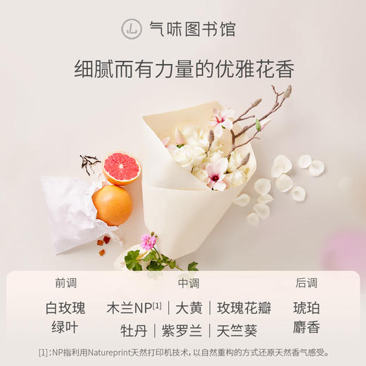 【花香调-白玫瑰与木兰】气味图书馆白玫瑰与木兰身体乳215ml/沐浴露295ml 商品图2