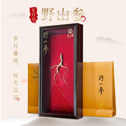 宣上医长白山野山参生晒参18+ 商品图0