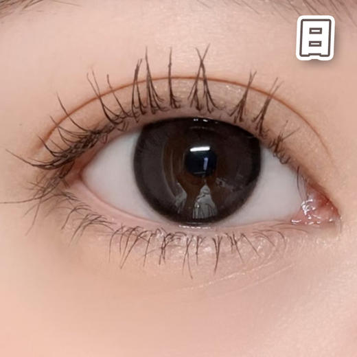 #半岛铁盒 黑棕色 14.2mm【10片装】日抛 商品图0