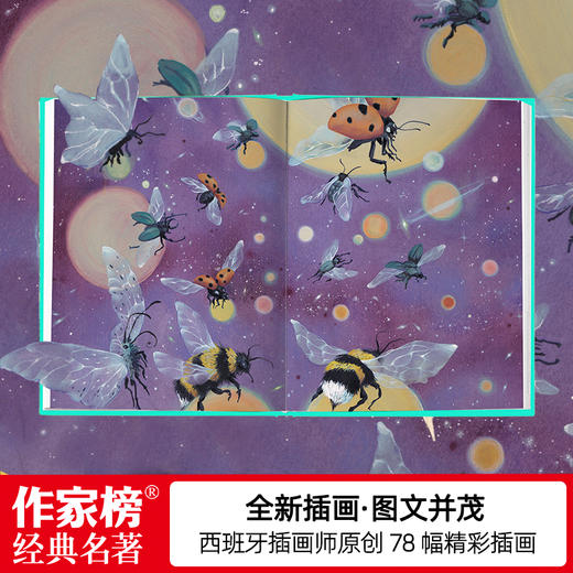 花的智慧 商品图4