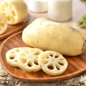 放心莲藕 约400g/份 安全安心可追溯 伊藤自有品牌