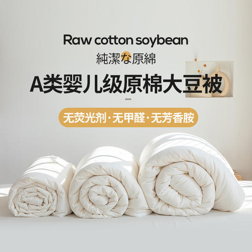 三泰龙 母婴级A类全棉大豆纤维被被春秋被 商品图3