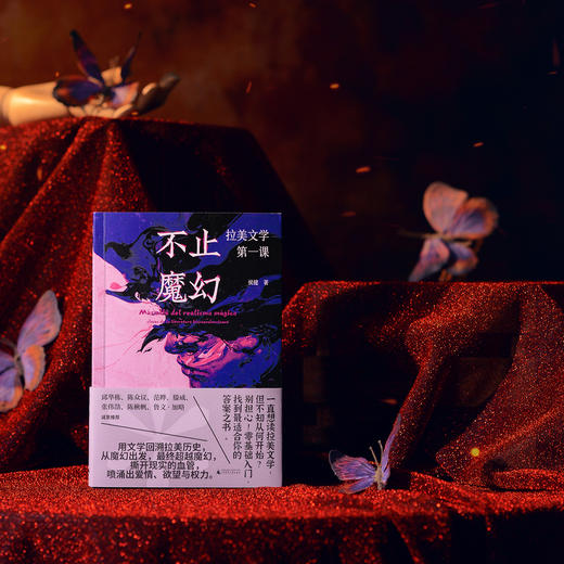 不止魔幻：拉美文学第一课   侯健 / 著  【北贝】 商品图3