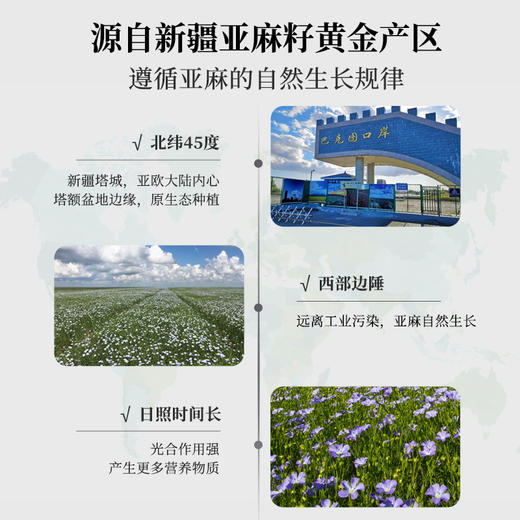 绿洲果实亚麻籽油  一级籽油 商品图3