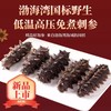 自营（海中源）-新品上市《渤海湾国标野生低温高压免煮刺参》 商品缩略图7