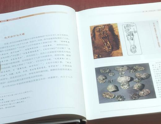 《此间鸟兽：文物里的中华文明》，精装，16开，任疆著，北京理工大学出版社2024年7月一版一印，635页，定价198，售价99元 商品图3