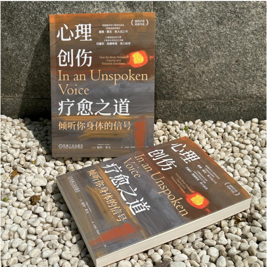 心理创伤疗愈之道：倾听你身体的信号   [美]彼得·莱文([美]彼得·莱文) 商品图4